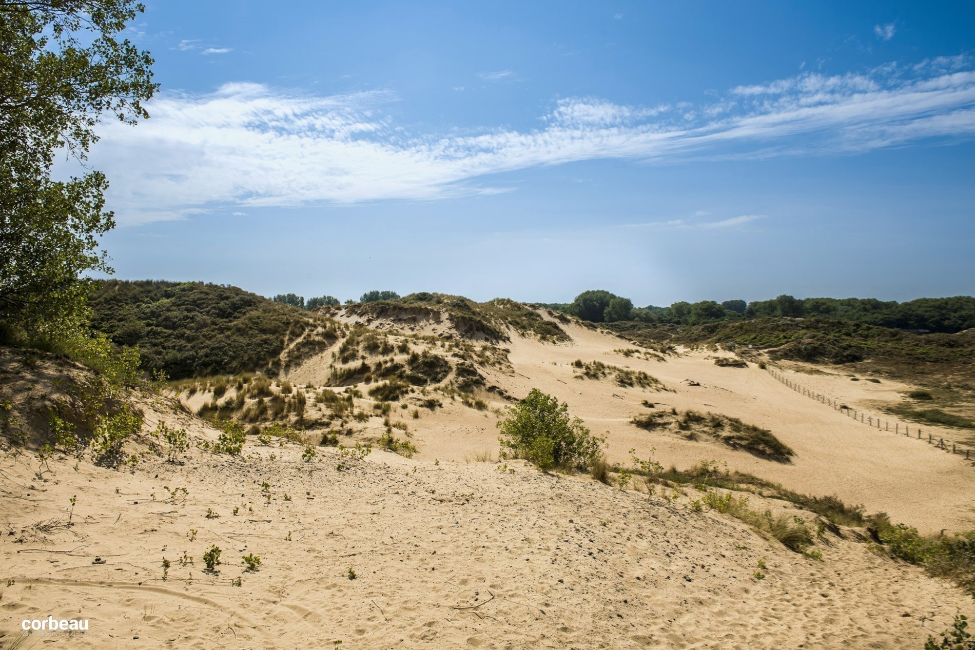 Stijlvol en luxueus wonen in hartje Koksijde nabij de natuur, zee en shopping! 