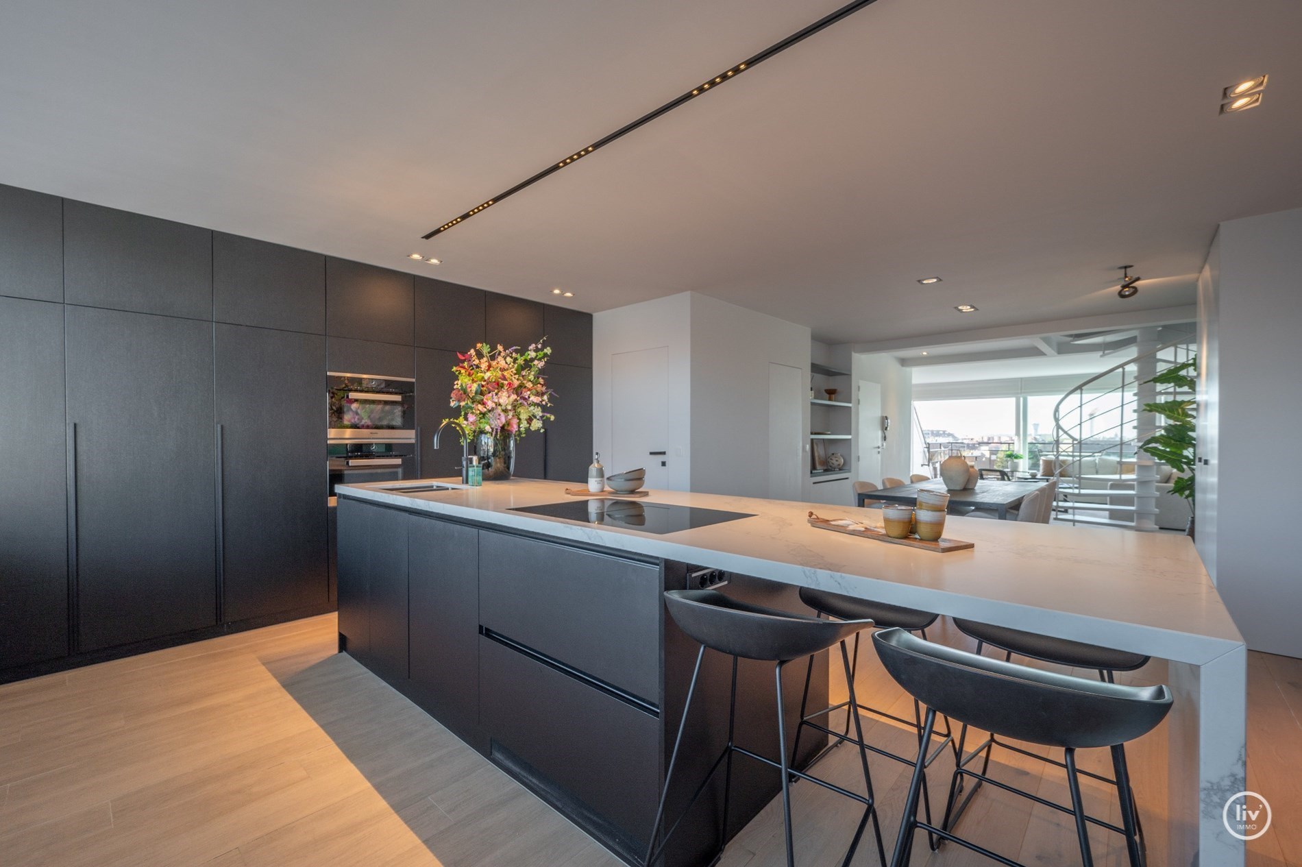 Merveilleux appartement en duplex r&#233;nov&#233;, spacieux, avec des vues panoramiques magnifiques et des terrasses &#224; proximit&#233; du Rubens. 