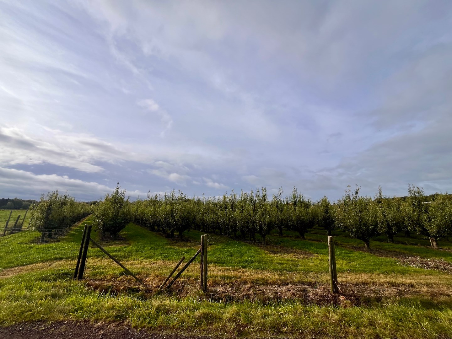 Uniek bouwland van 8945 m&#178; op een uiterst rustige locatie te Vremde! 