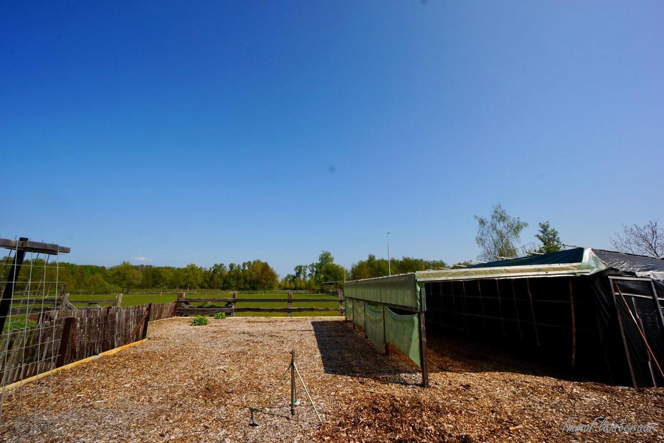 Instapklare woning met paardenstallen en weides te Heppen op ca. 2 ha 