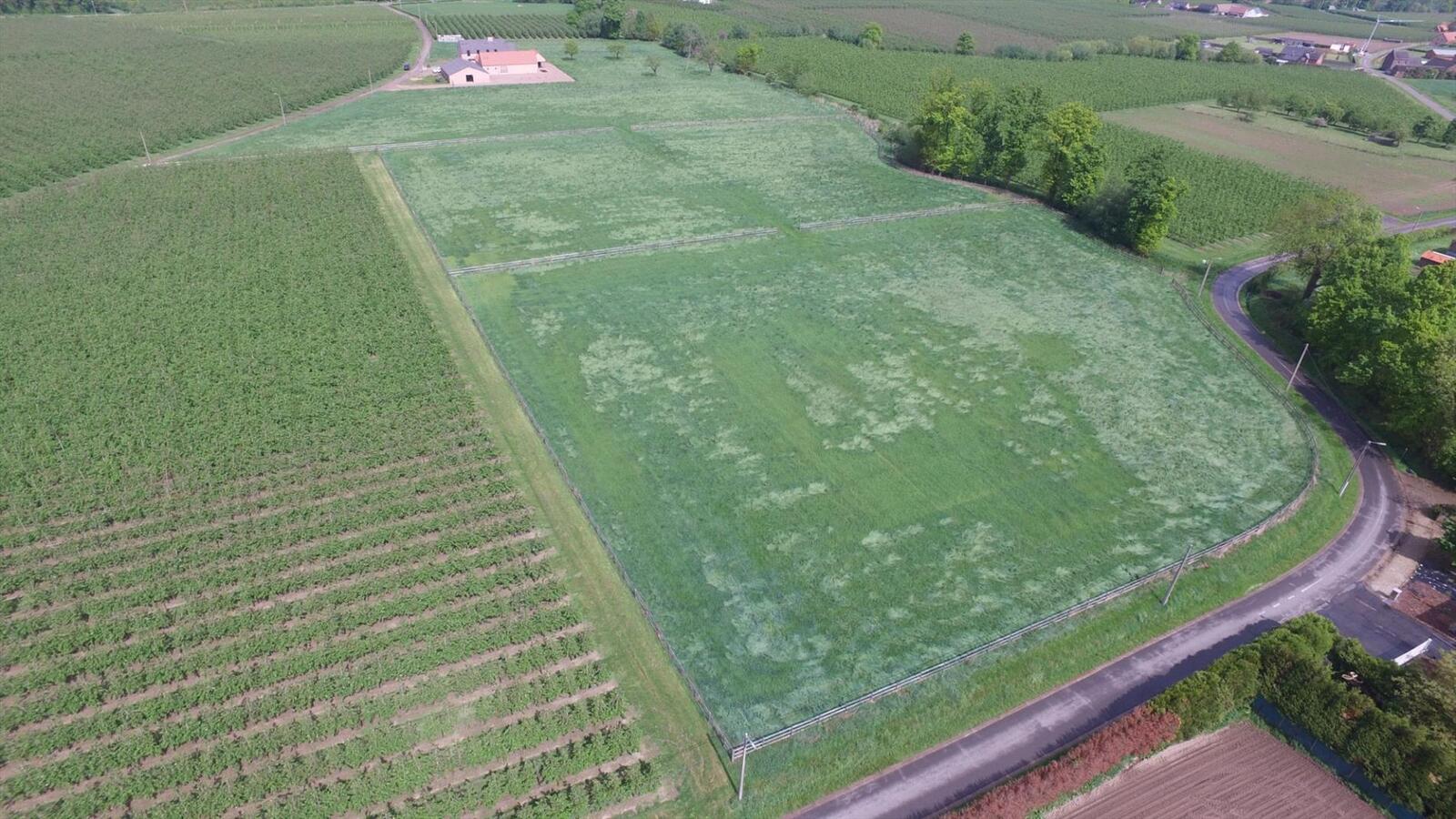 Prachtige nieuwbouwvilla met paardenstallen en weides op ca. 5ha te Herk-de-Stad 