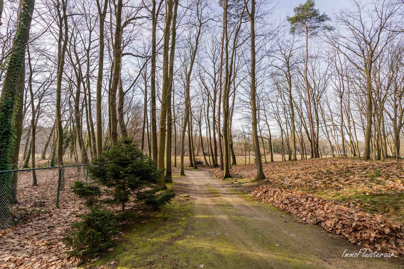 Woning met stalgebouw en grond op meer dan 1ha te Aarschot (Vlaams-Brabant) 