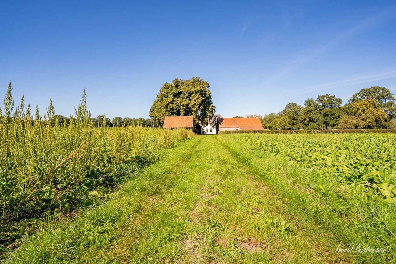 Unique farmhouse in an exceptional location on approximately 5 hectares in Peer. 