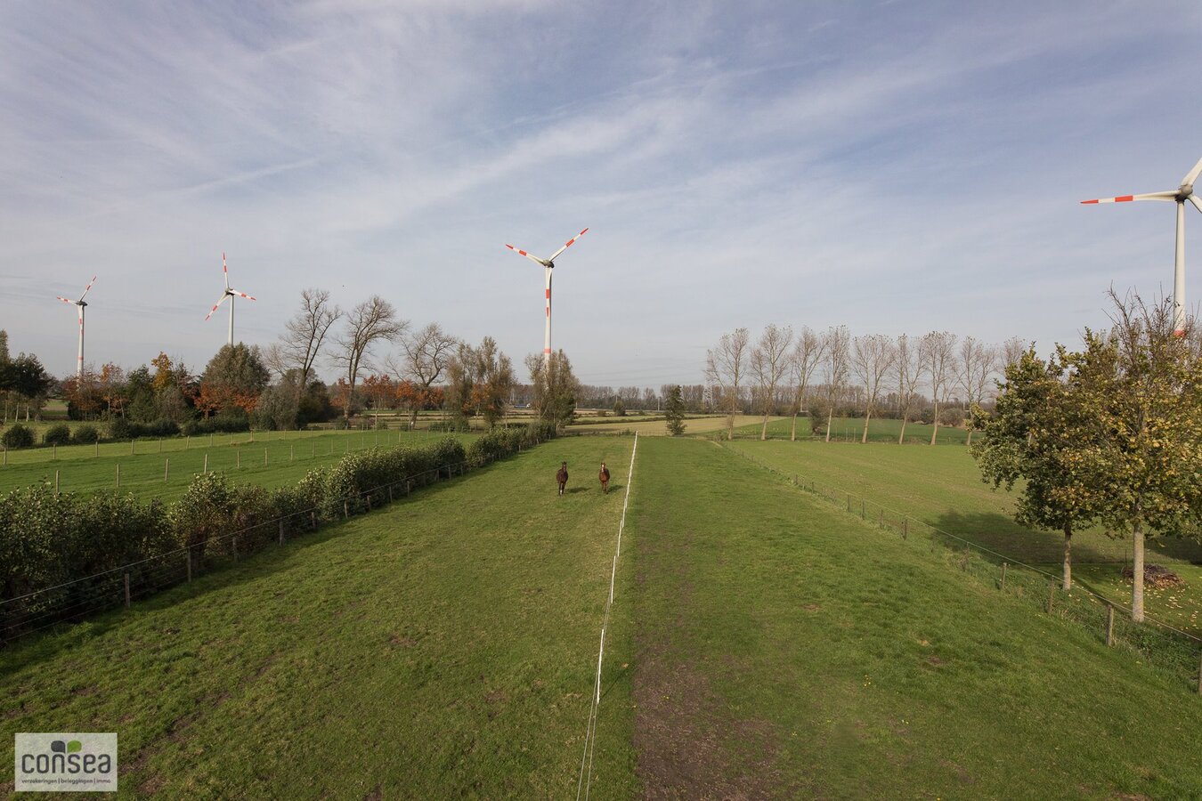 TE KOOP: SUBLIEM GELEGEN HOEVE OP EEN BUITENGEWONE OPPERVLAKTE. 