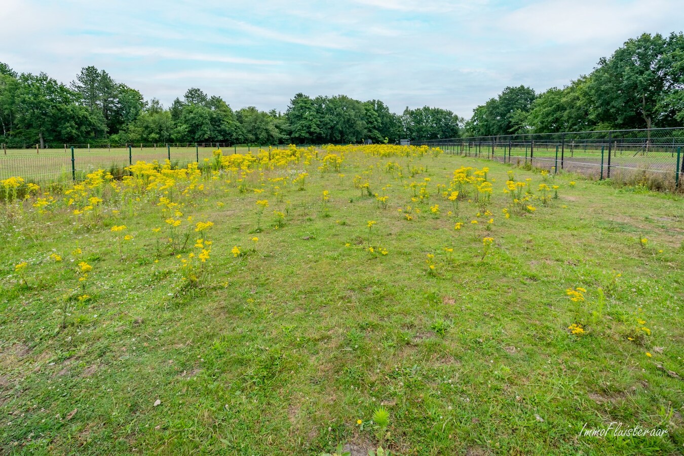 Instapklare villa (+/-9a33) met mogelijkheid tot aankoop weide en stallen (+/-40a) te Leopoldsburg. 