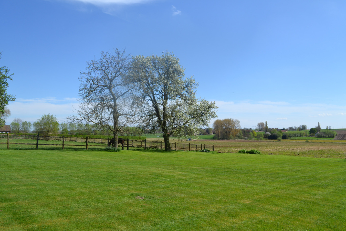 Hippisch complex te Huise (Zingem) op ca. 2Ha 