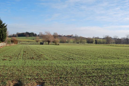 Hoeve met 10 stallen op 2,17 ha 