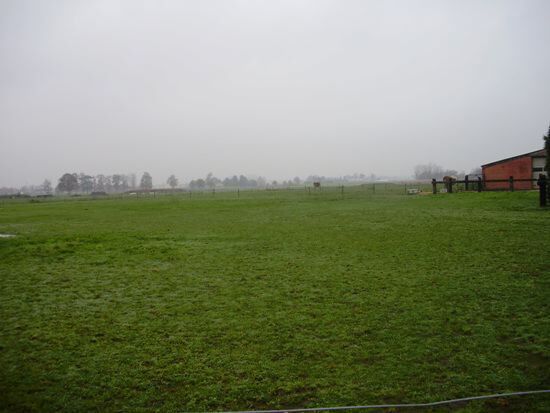 Ferme vendu À Minderhout