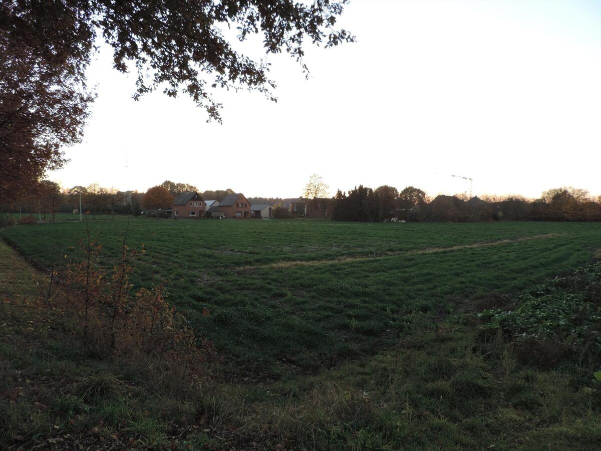 Ferme vendu À Hechtel-Eksel