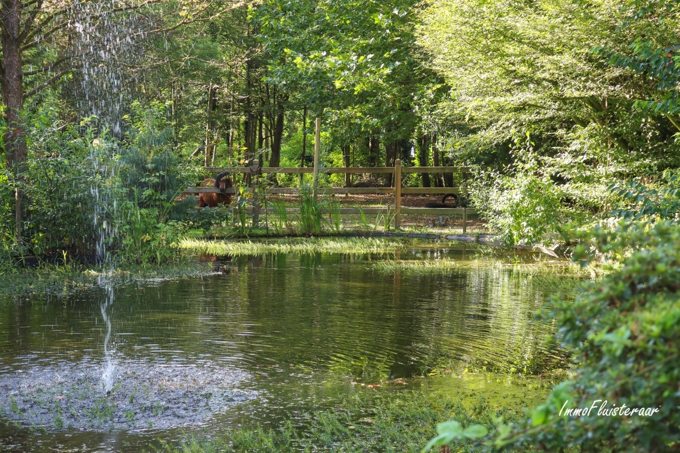 Maison pr&#234;te &#224; emm&#233;nager avec jardin idyllique sur un terrain de 28 ares &#224; Hasselt 