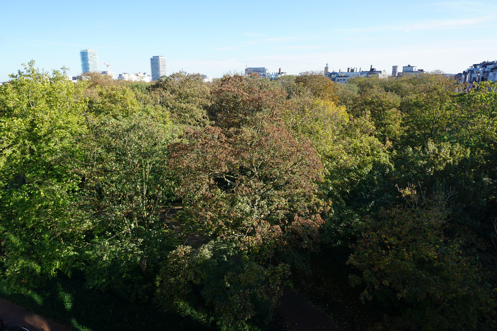 APP. NON-MEUBLE SITUE AVEC BELLE VUE SUR LE PARC 