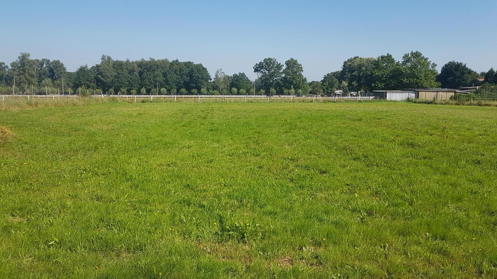 Charmante woning met paardenstallen op ca. 43a75 te Heppen/Leopoldsburg 