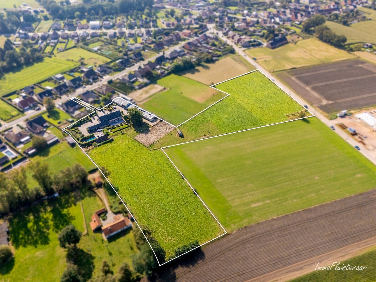 Hoogwaardig afgewerkte villa met stalgebouw en aanpalende weides op ca. 1,7 ha  te Herenthout 