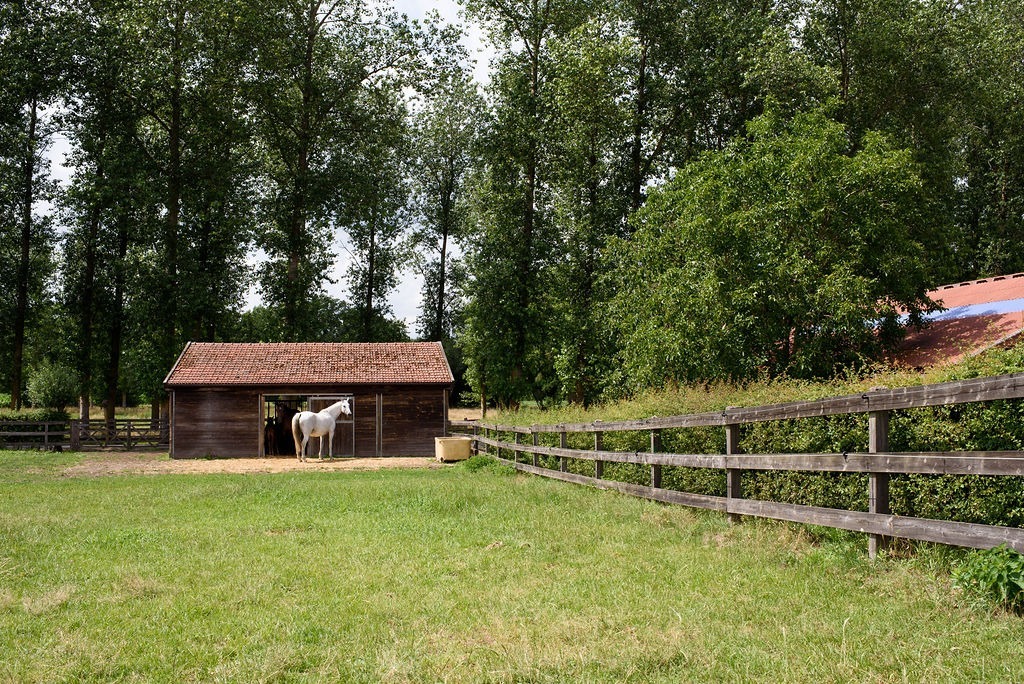 Exclusive domain with indoor arena on approximately 20ha in Meeuwen-Gruitrode 