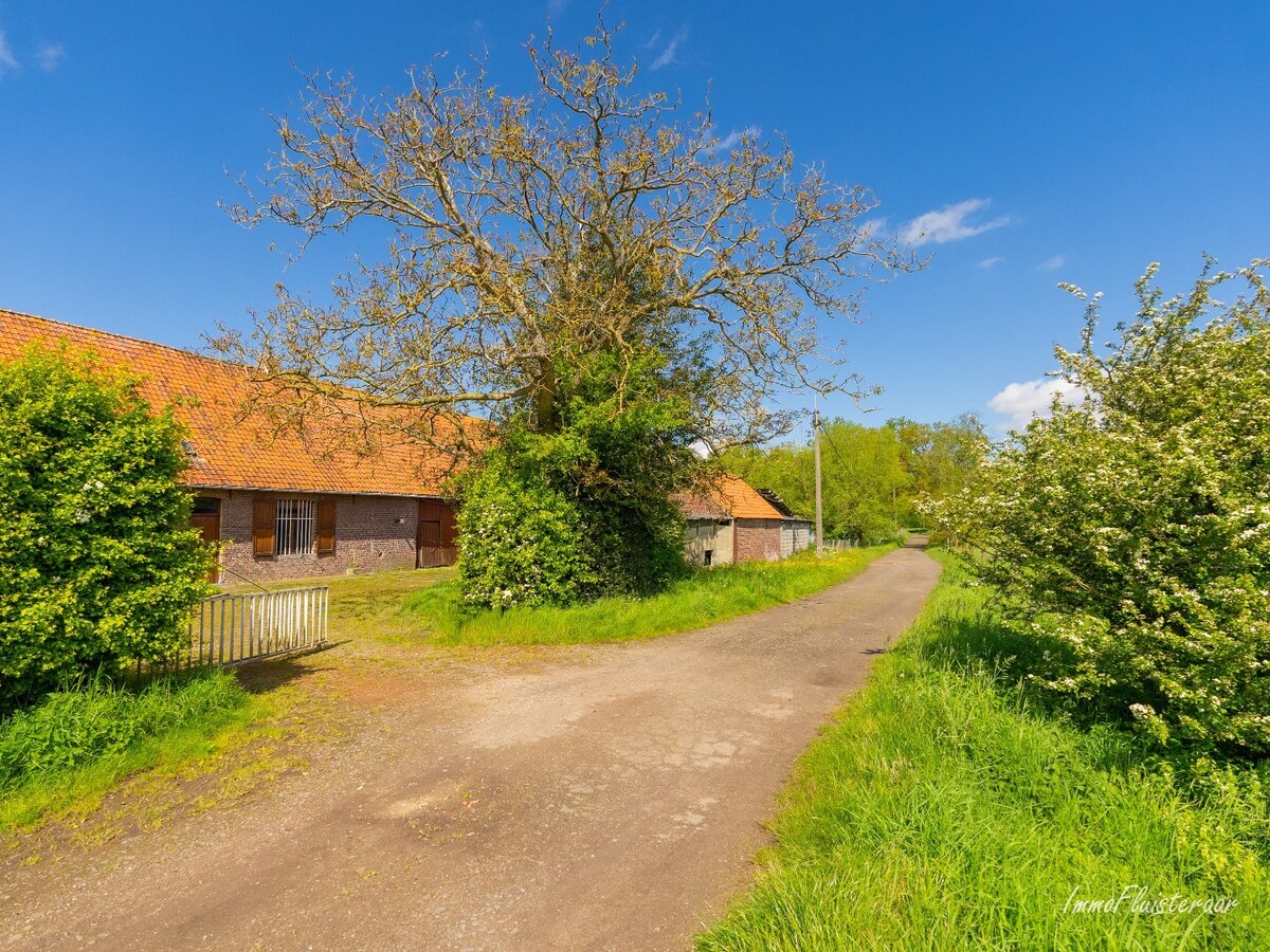 Idyllisch gelegen te renoveren hoeve te Melle op ca. 9,3ha 