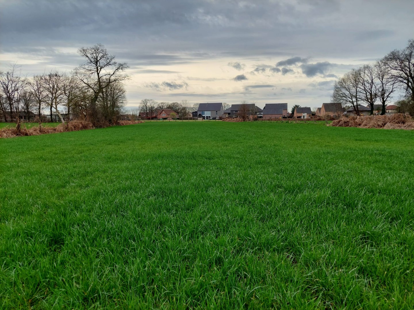 Weiland/landbouwgrond van 57are 05ca gelegen te Meerhout. 