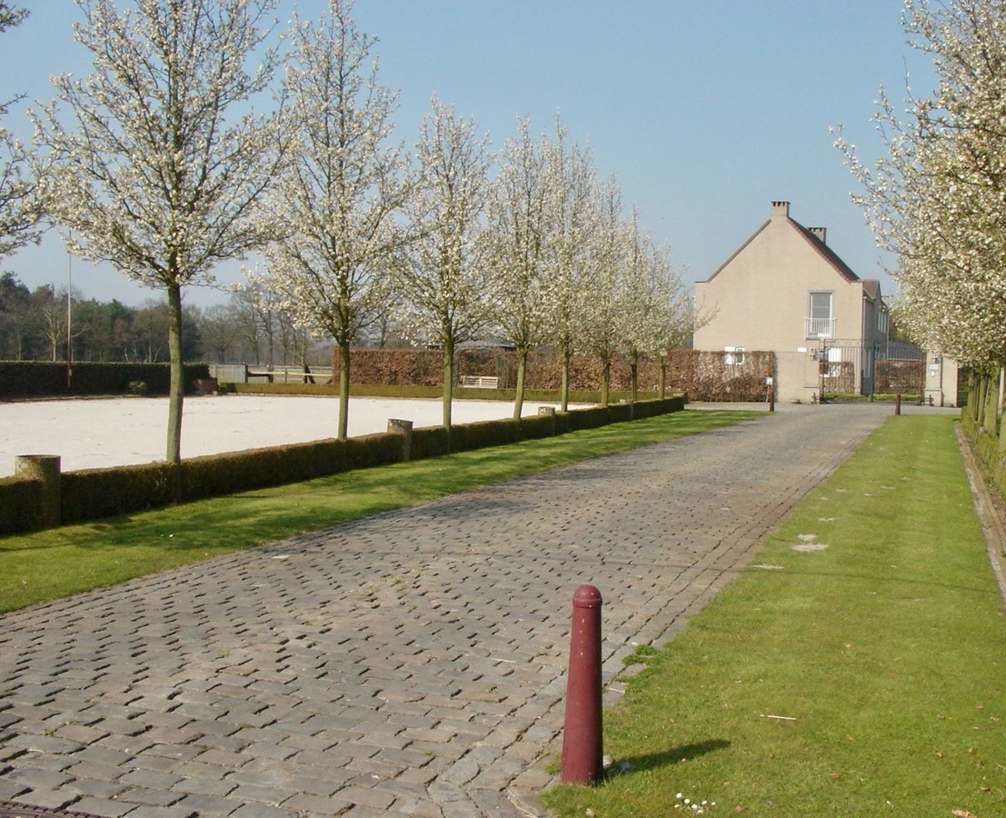 Woning en paardenaccommodatie met binnen- en buitenpiste gelegen te Retie op ca. 5,7ha 