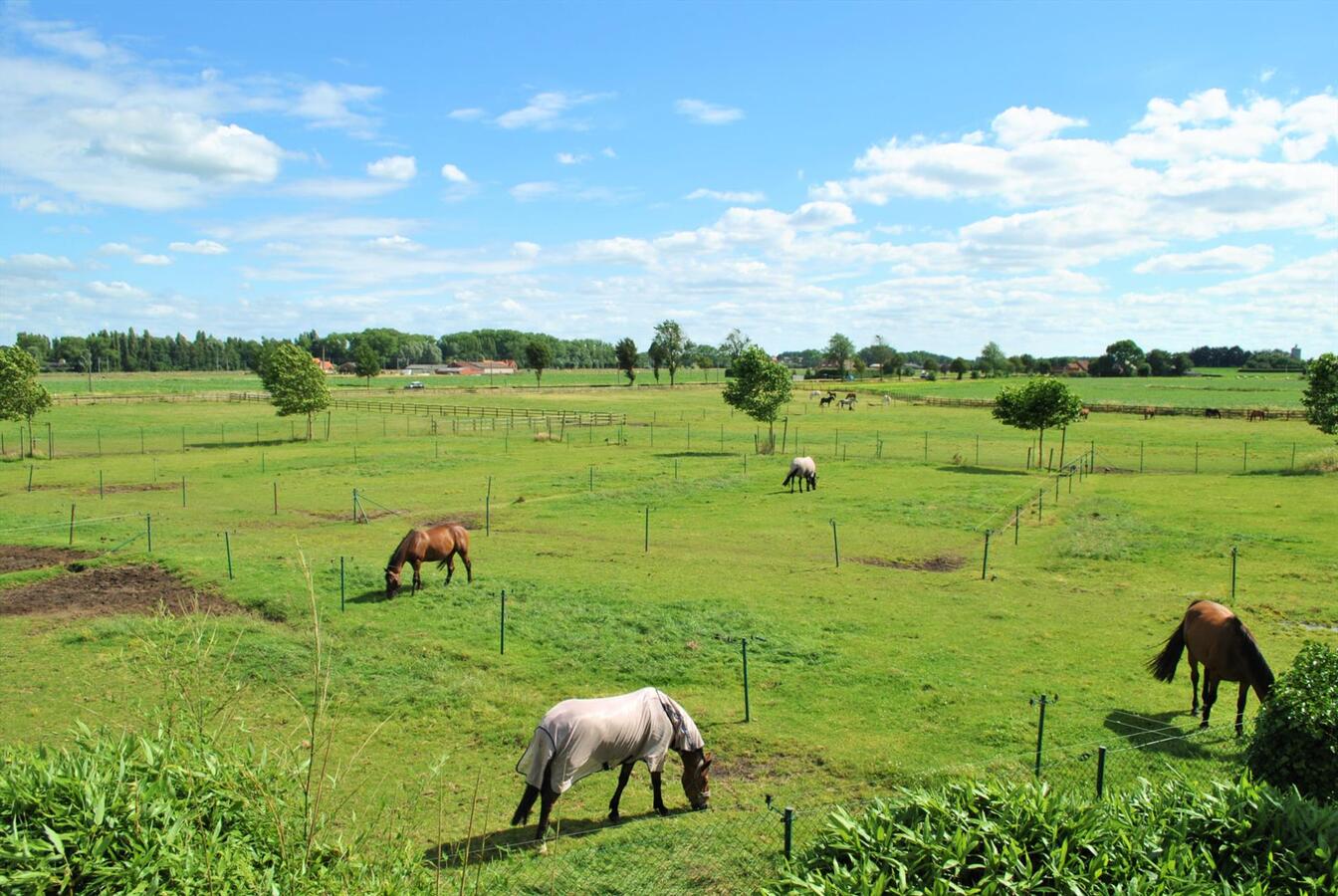 Hippische eigendom te Zedelgem op ca. 3 ha (met optie op 4 bijkomende ha) 