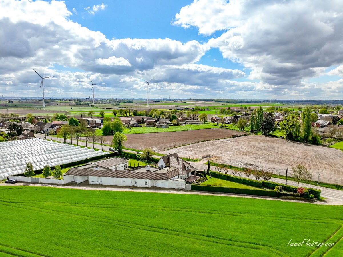 Propri&#233;t&#233; unique avec deux spacieuses maisons sur un terrain d&#39;environ 35 ares &#224; Bilzen. 