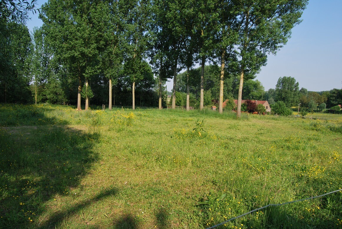 Charmante hoeve op ca. 1,1ha te Geraardsbergen 