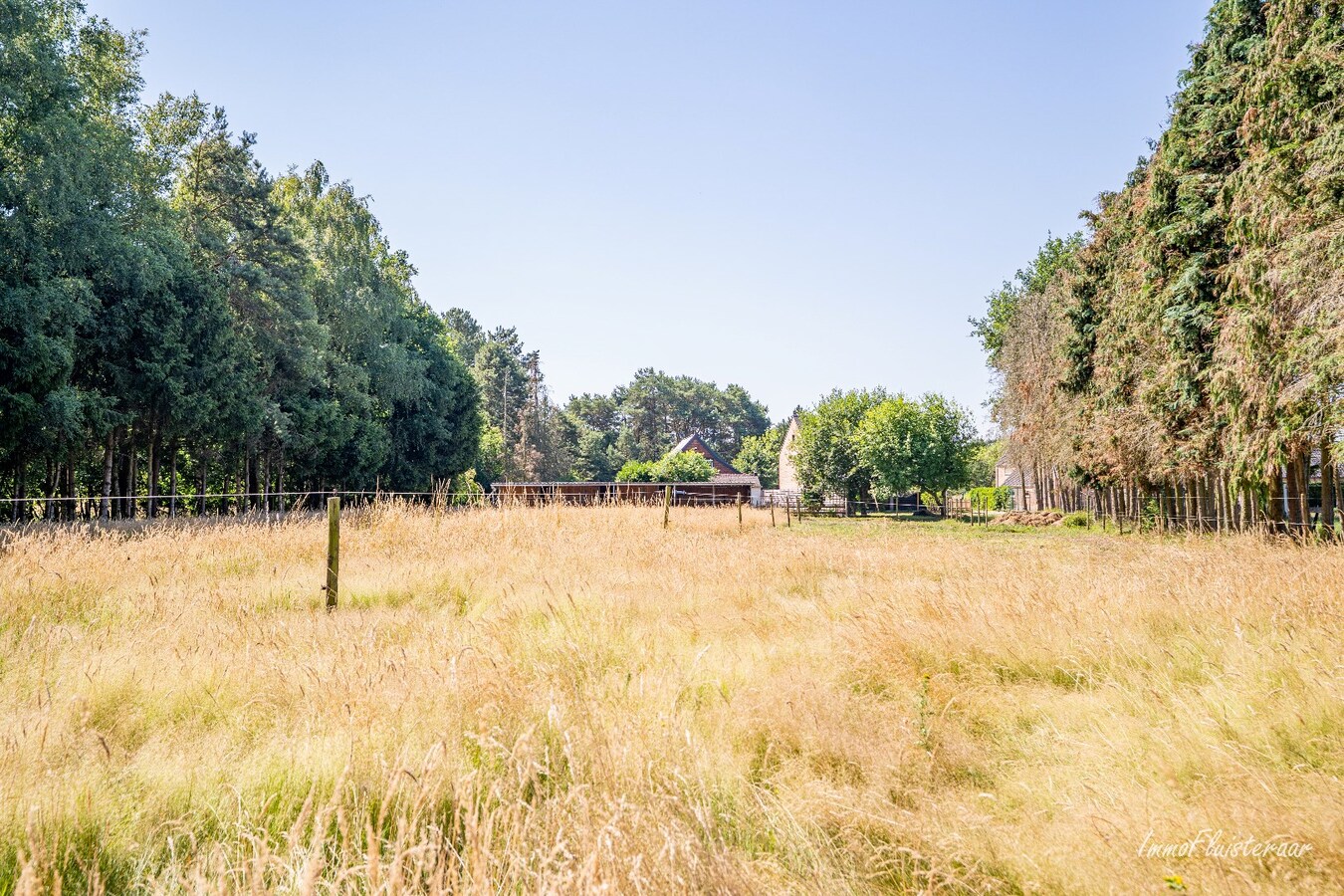 Woning met paardenstallen op ca. 4.804 m2 te Balen 