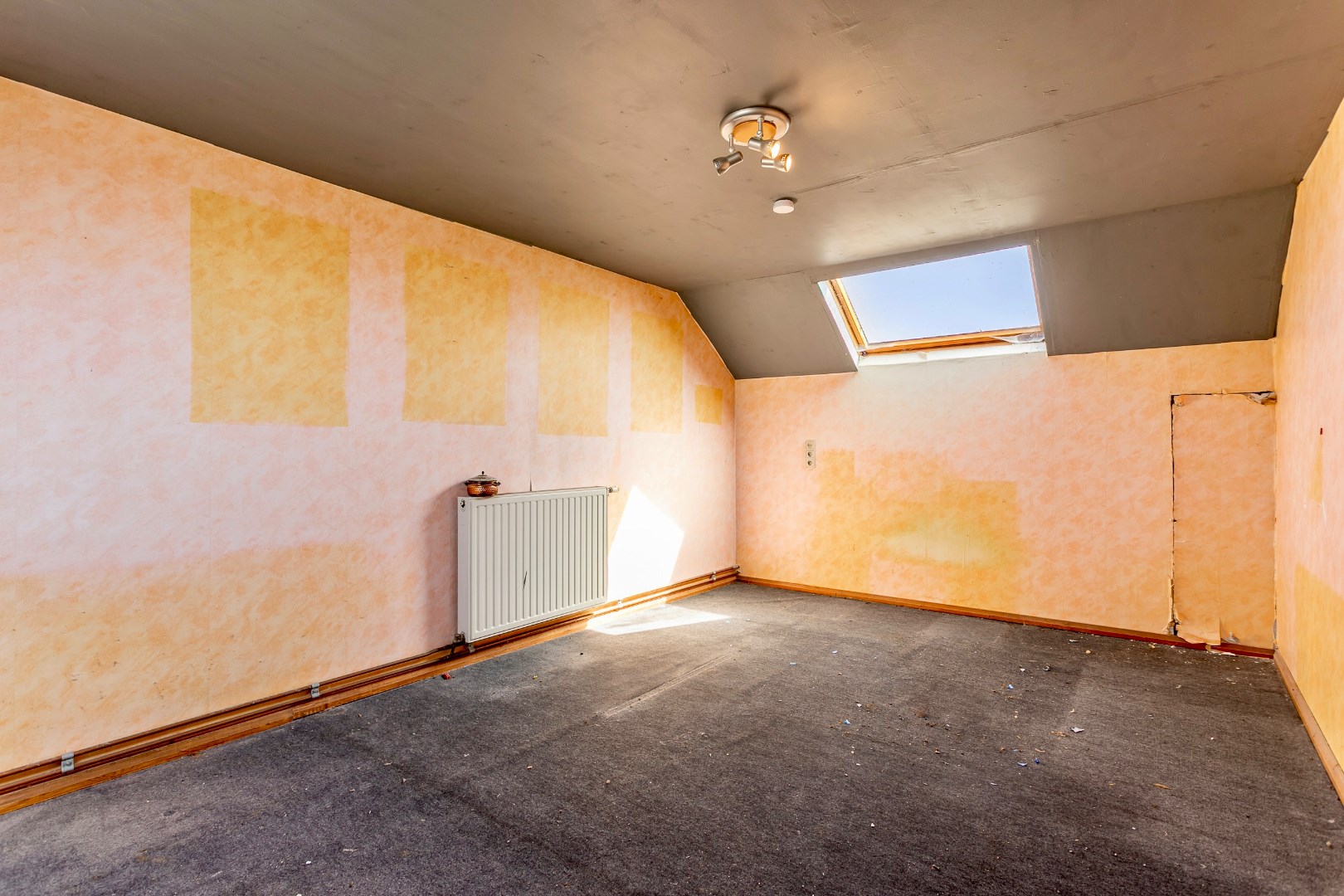 Te renoveren woning met omliggende gronden 