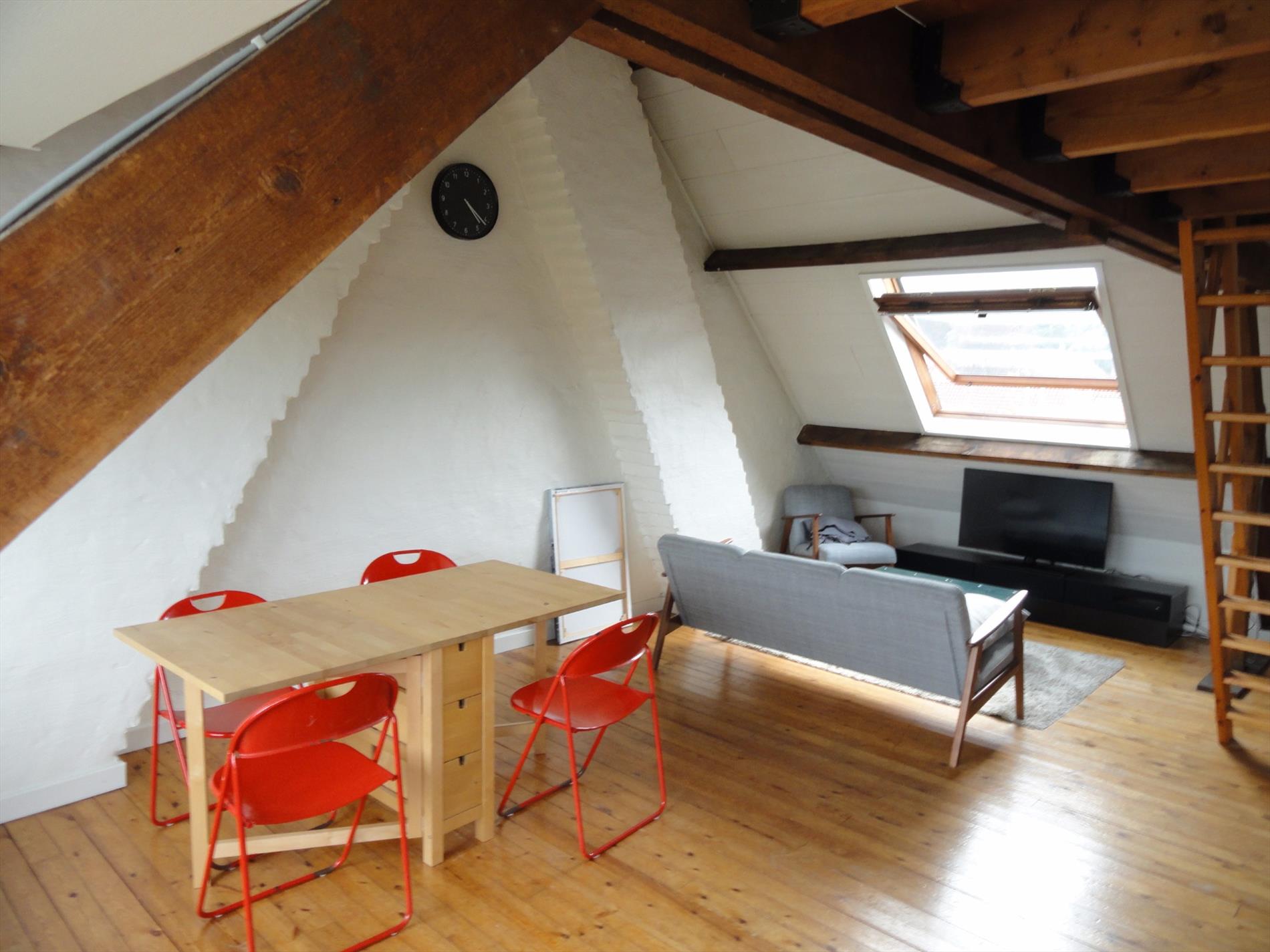 Dakappartement/studio vlakbij &#39;t Zand 
