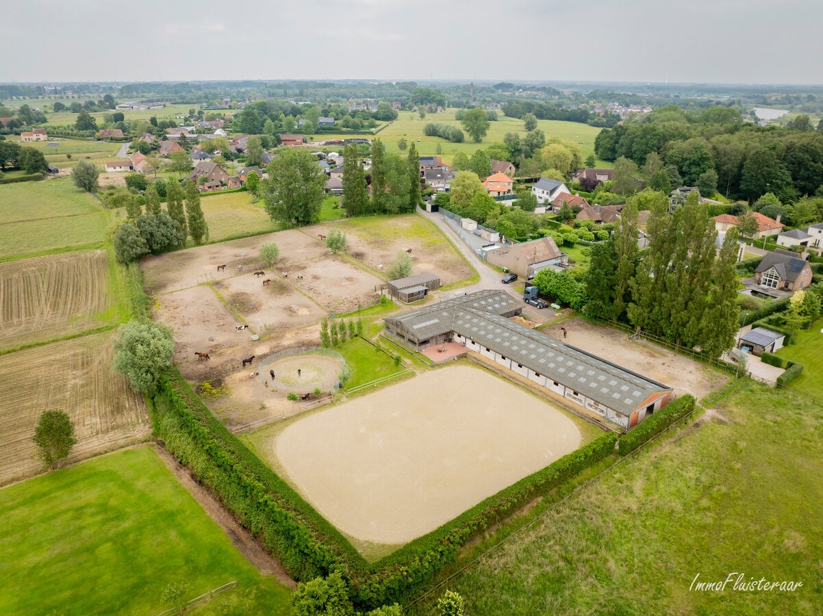 Charmante woning met hippisch complex op ca. 1,5 ha te Temse 