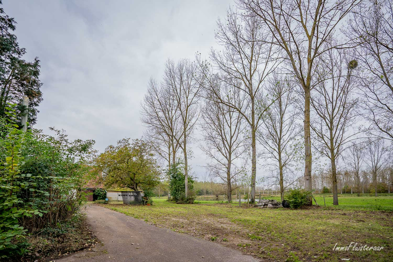 IN OPTIE - Te renoveren hoeve met woning, stallen, schuur en grond op ca. 5,6ha te Rotselaar (Vlaams-Brabant) 