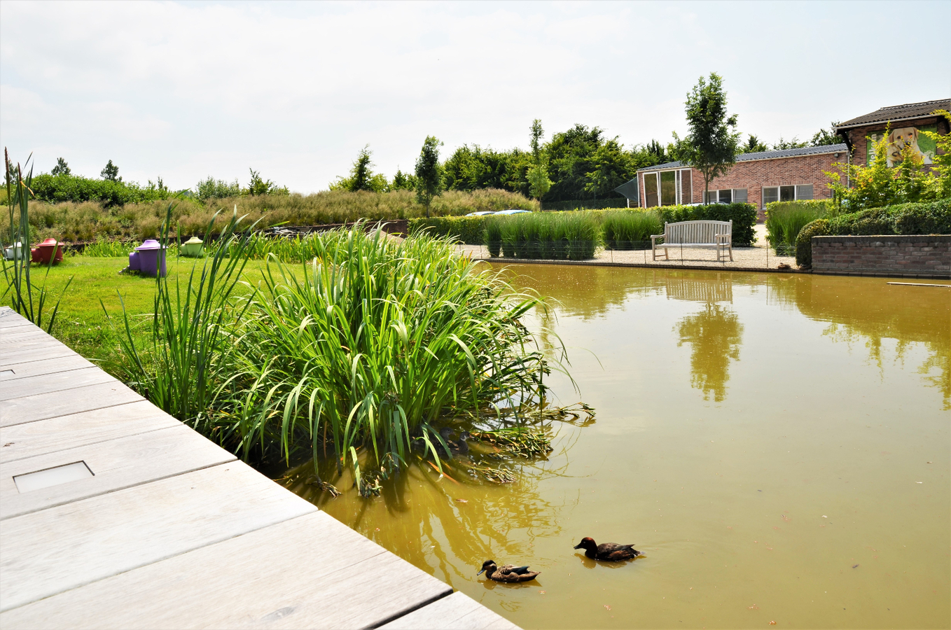 Prachtige villa met ruim bijgebouw en weiland op ca. 2ha te Bever (Vlaams-Brabant) 