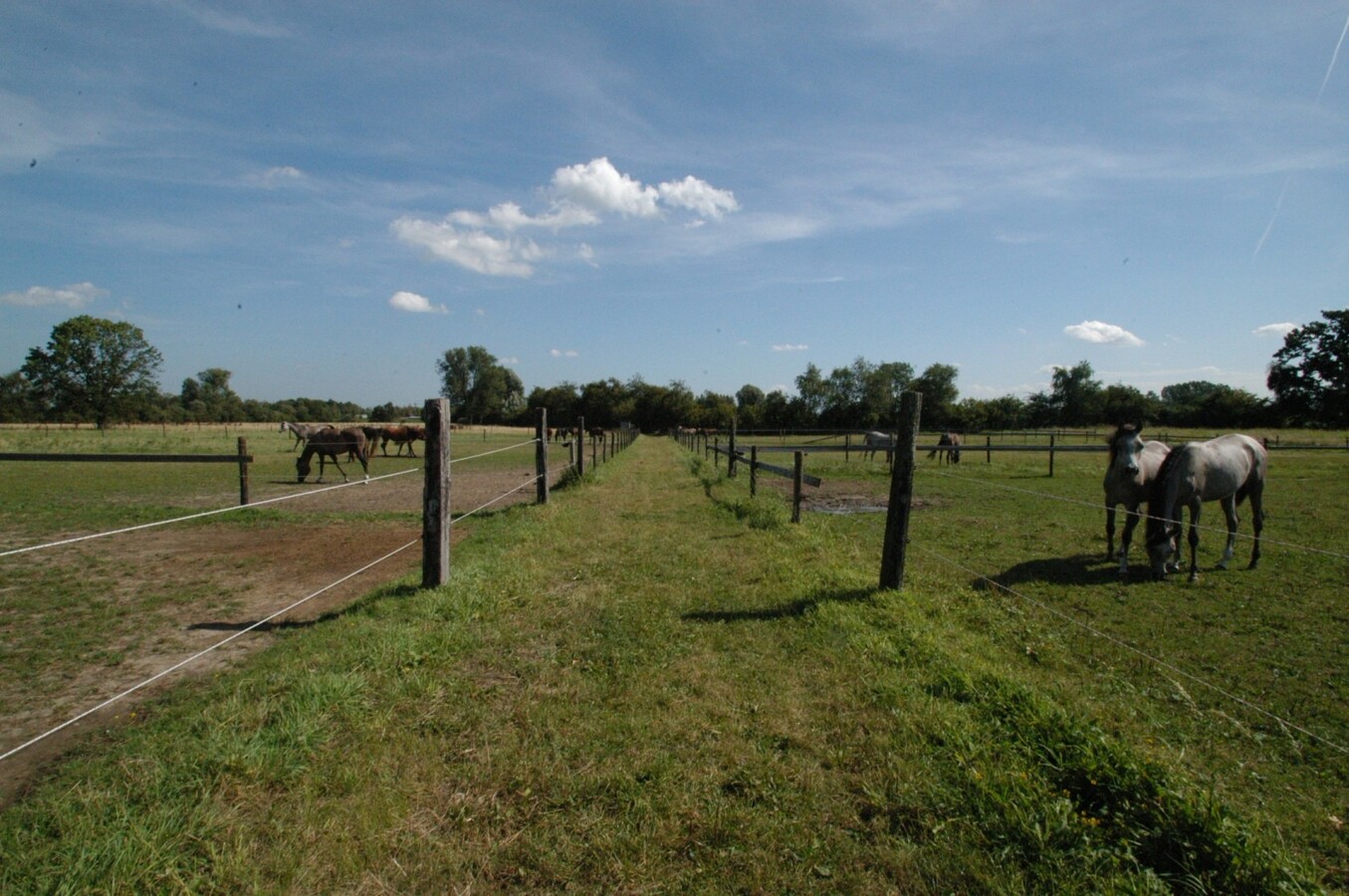 Hippisch complex ‘Azelhof’ op ca. 16 ha te Koningshooikt (Lier) 