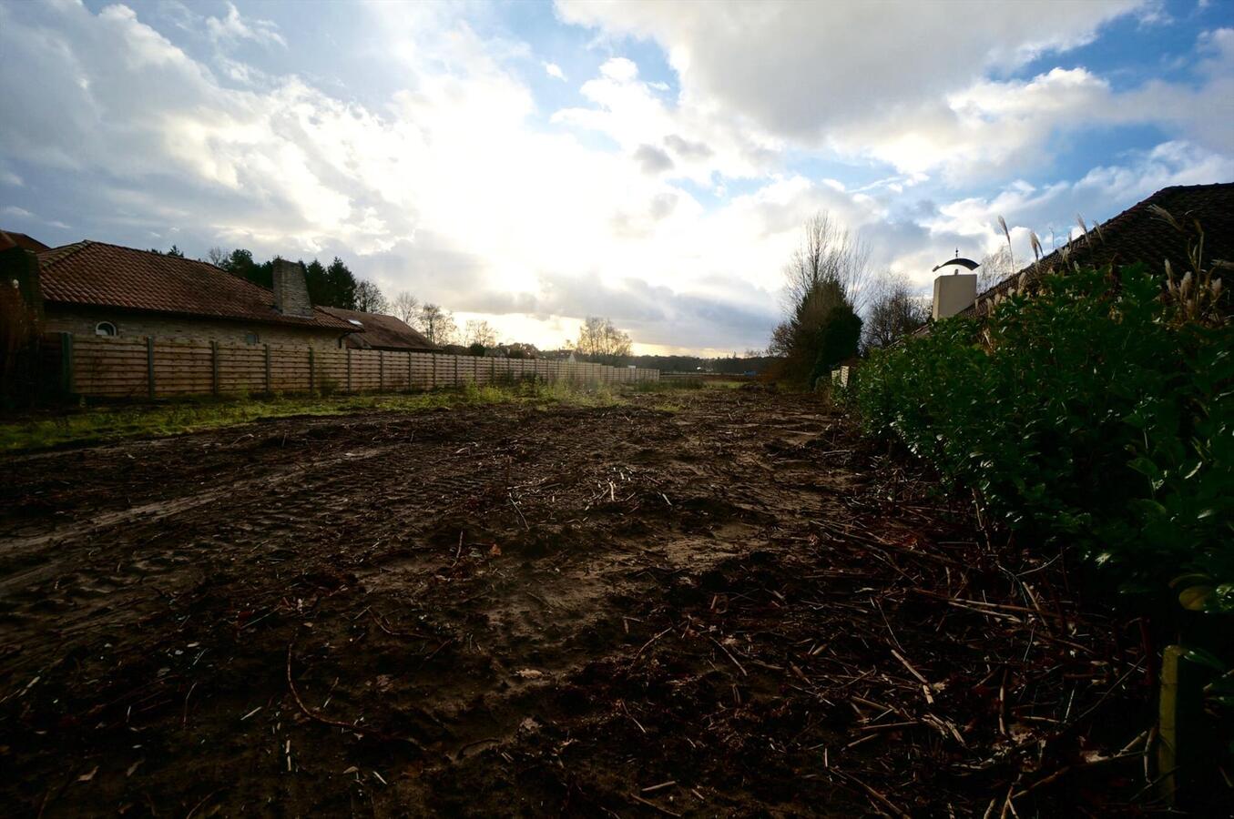 Prachtige bouwgrond op ca. 1,1Ha te Zoersel 