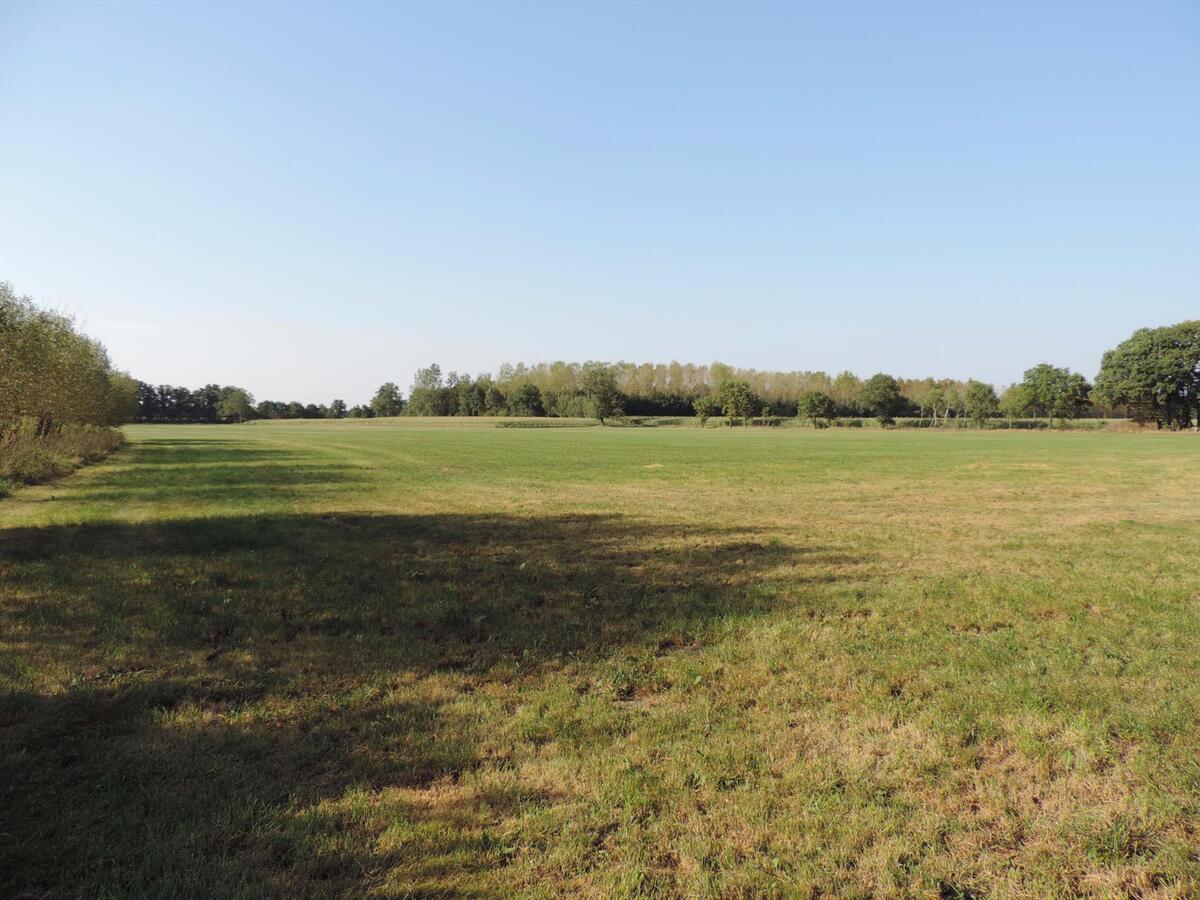 Recent gerenoveerde hoeve met ca. 2 ha weiland te Bree (aankoop ca. 2ha aanpalende weide mogelijk) 