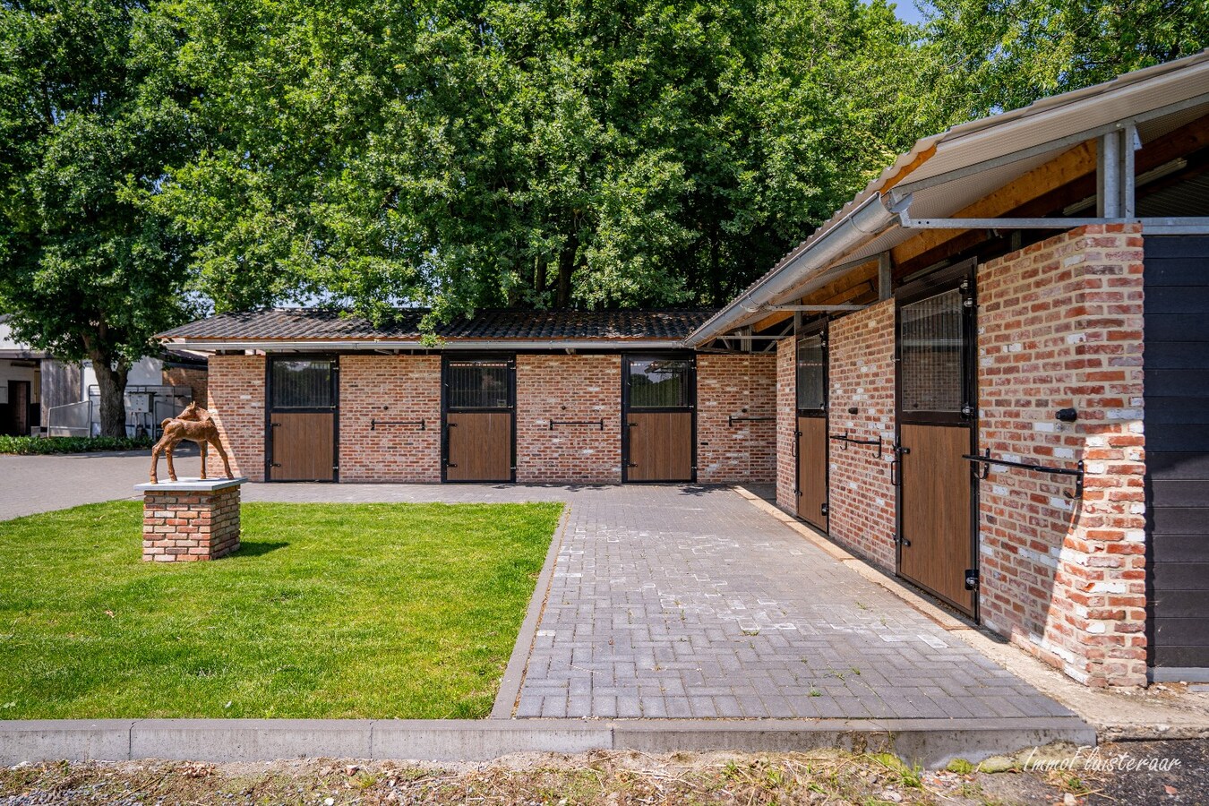 Complete horse accommodation on approximately 3.5 hectares in Helchteren 