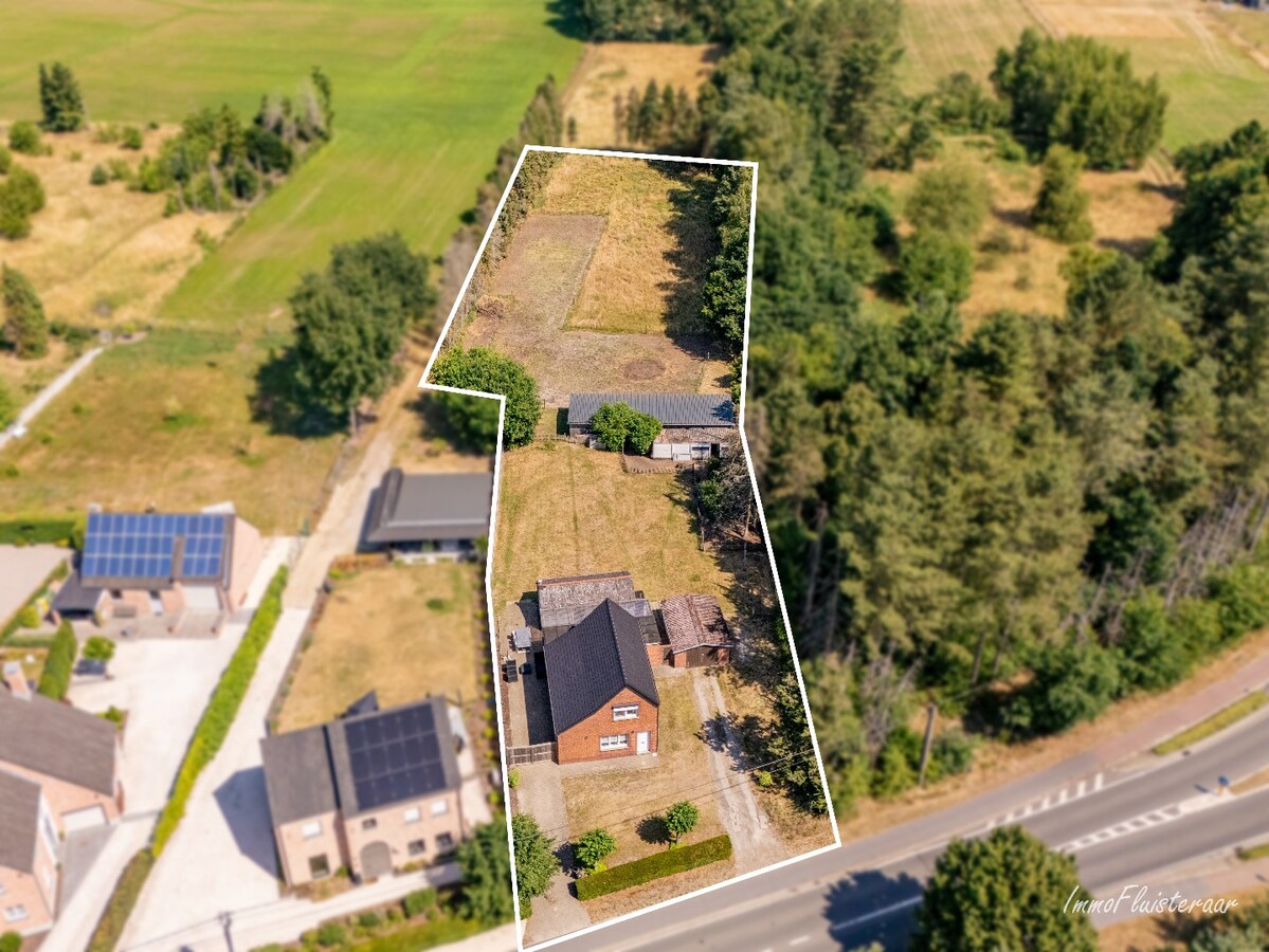Woning met paardenstallen op ca. 4.804 m2 te Balen 