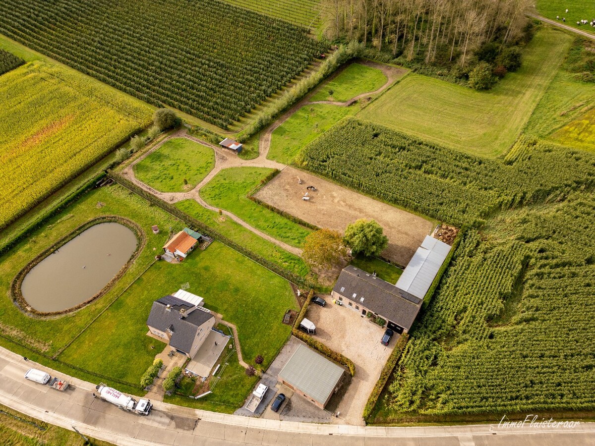 Charmante instapklare woning met paardenfaciliteiten op ca. 75a te Waanrode. 