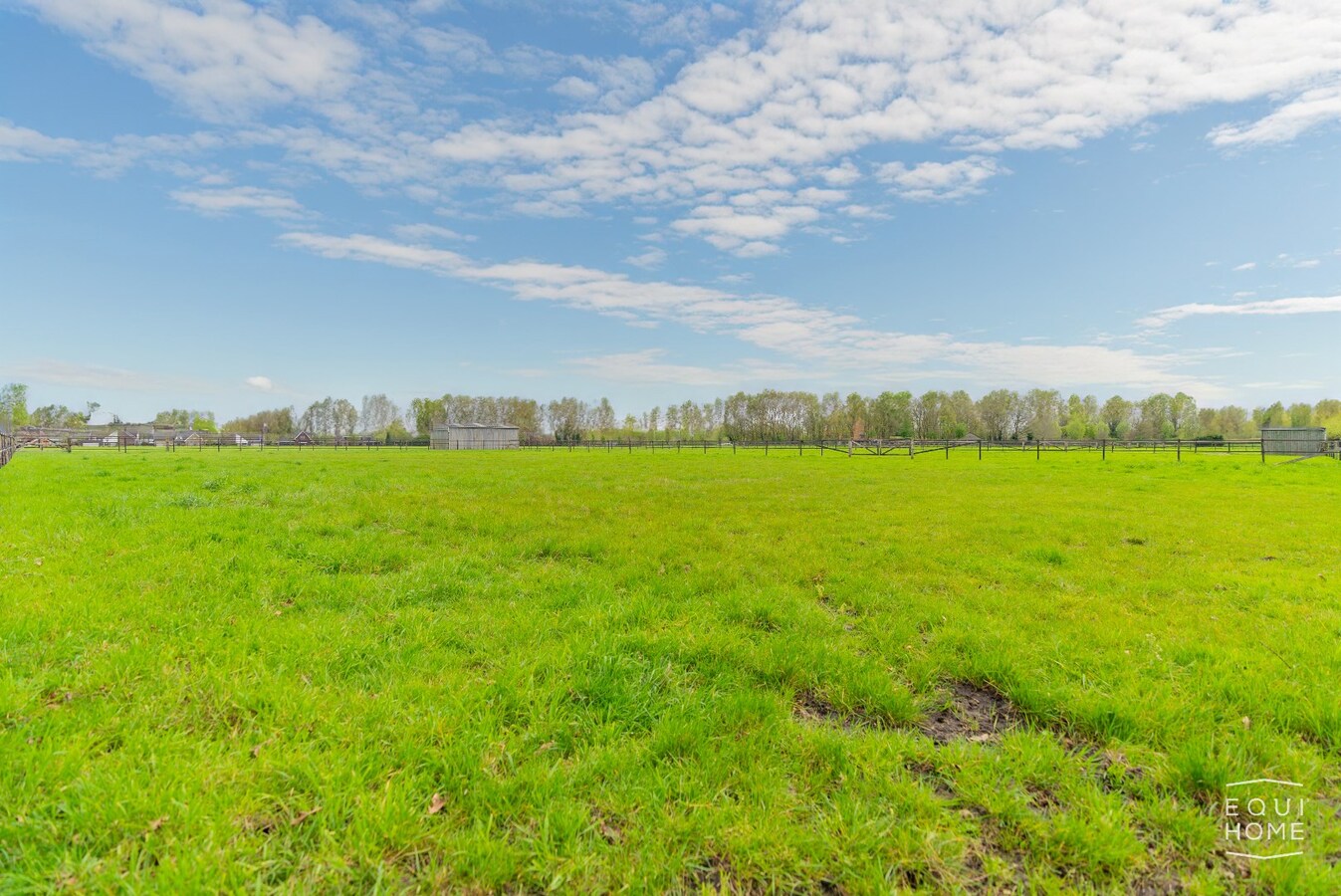 Weiland met schuilstallen op 3,5 ha te Hoogstraten 