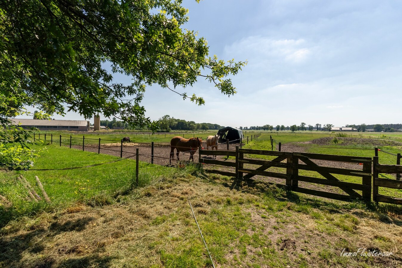 Prachtige hoeve met weilanden en stallen op ca. 2,1 ha te Kaulille (Bocholt) 