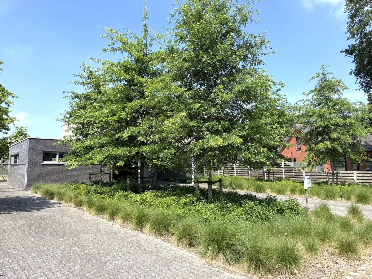 Woning te koop in Ravels