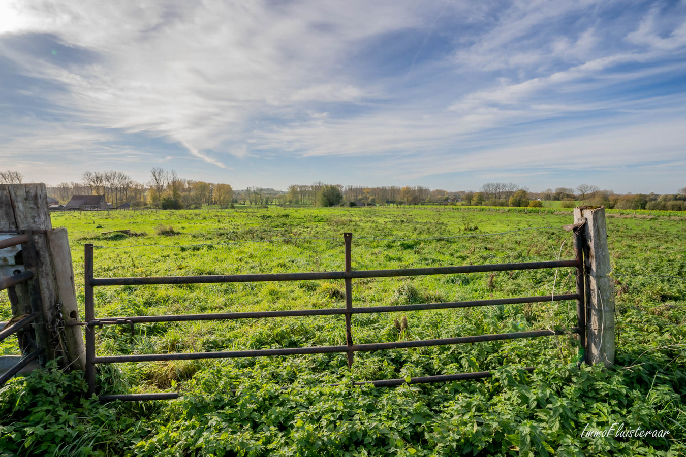 Pasture land for sale |  with option - with restrictions in Galmaarden