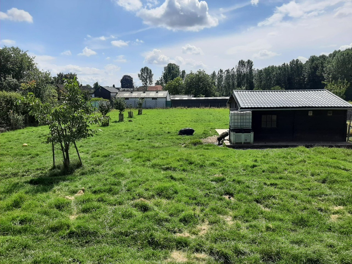 Instapklare woning met groot bijgebouw op ca. 43a te Zoutleeuw (Vlaams-Brabant) 