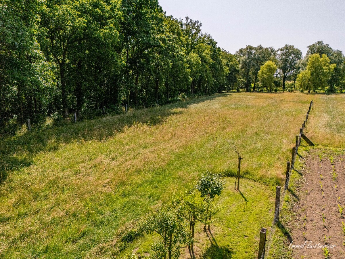 Villa met zwembad op ca. 2.155 m2 te Nijlen (Mogelijkheid tot aankoop aanpalende weide van ca. 5.251 m2, ideaal voor het houden van dieren) 