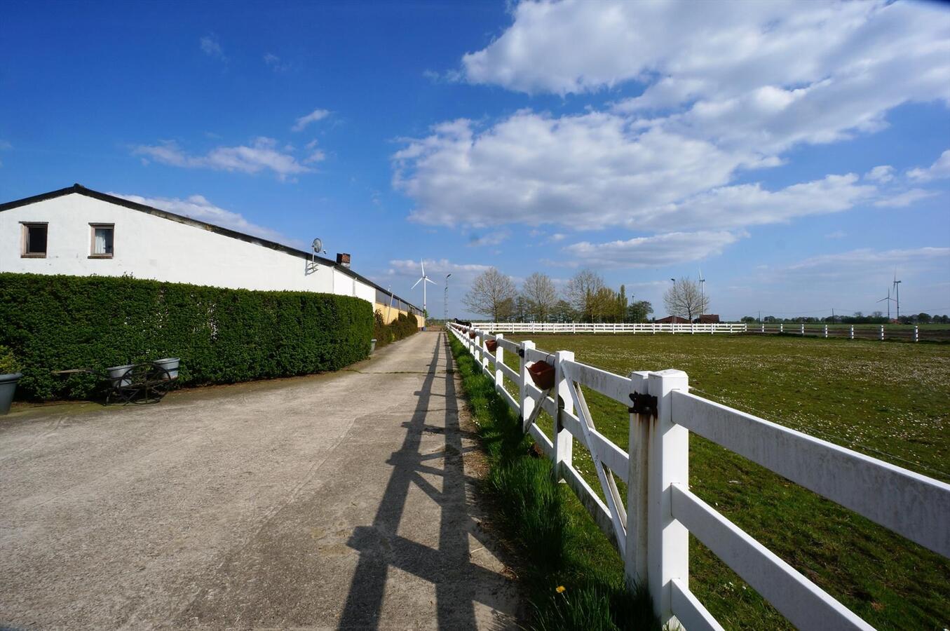 Ferme vendu À Loenhout