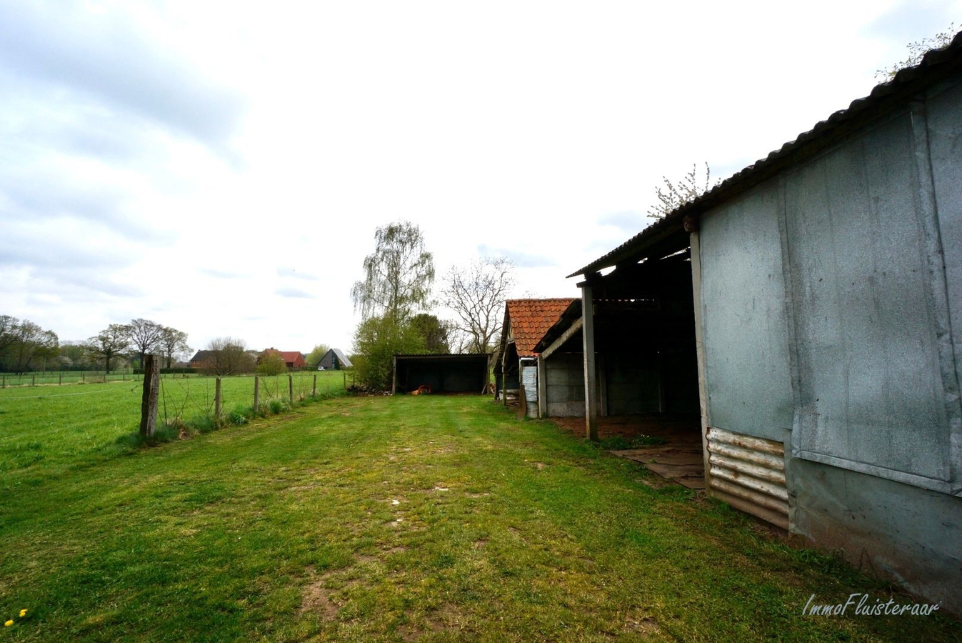 Gezellige te renoveren hoeve met stalgebouw op ca. 1ha21a te Paal 