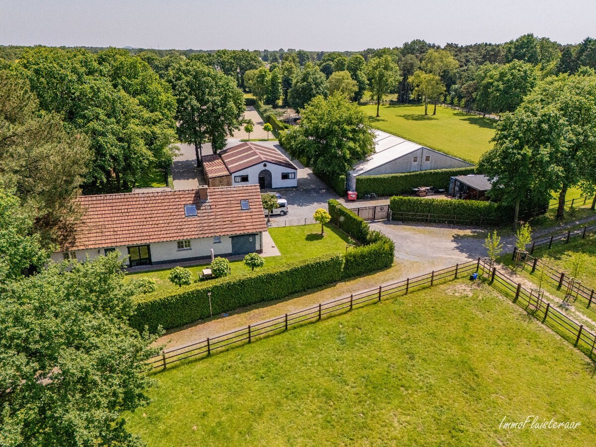 Complete horse accommodation on approximately 3.5 hectares in Helchteren 