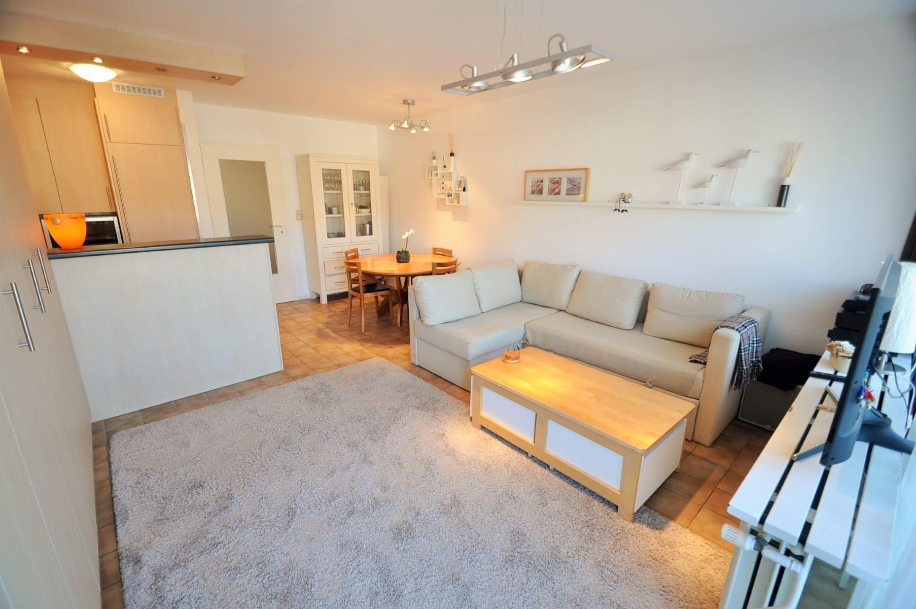 Studio orient&#233;e sud avec vue lat&#233;rale sur la mer, &#224; 50m &#224; pied du front de mer d&#39;Albertstrand. 