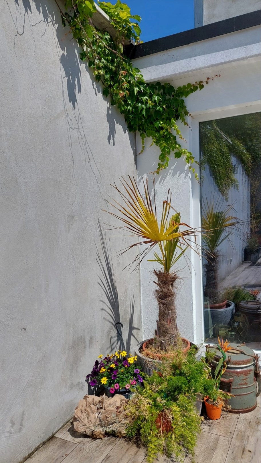 Authentiek, gerenoveerd huis met Zuid-West Geori&#235;nteerde Tuin 