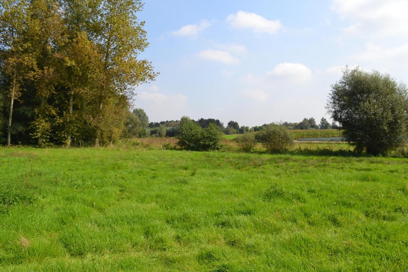 Te renoveren hoeve op een unieke locatie op ca. 1,6Ha te Bornem 