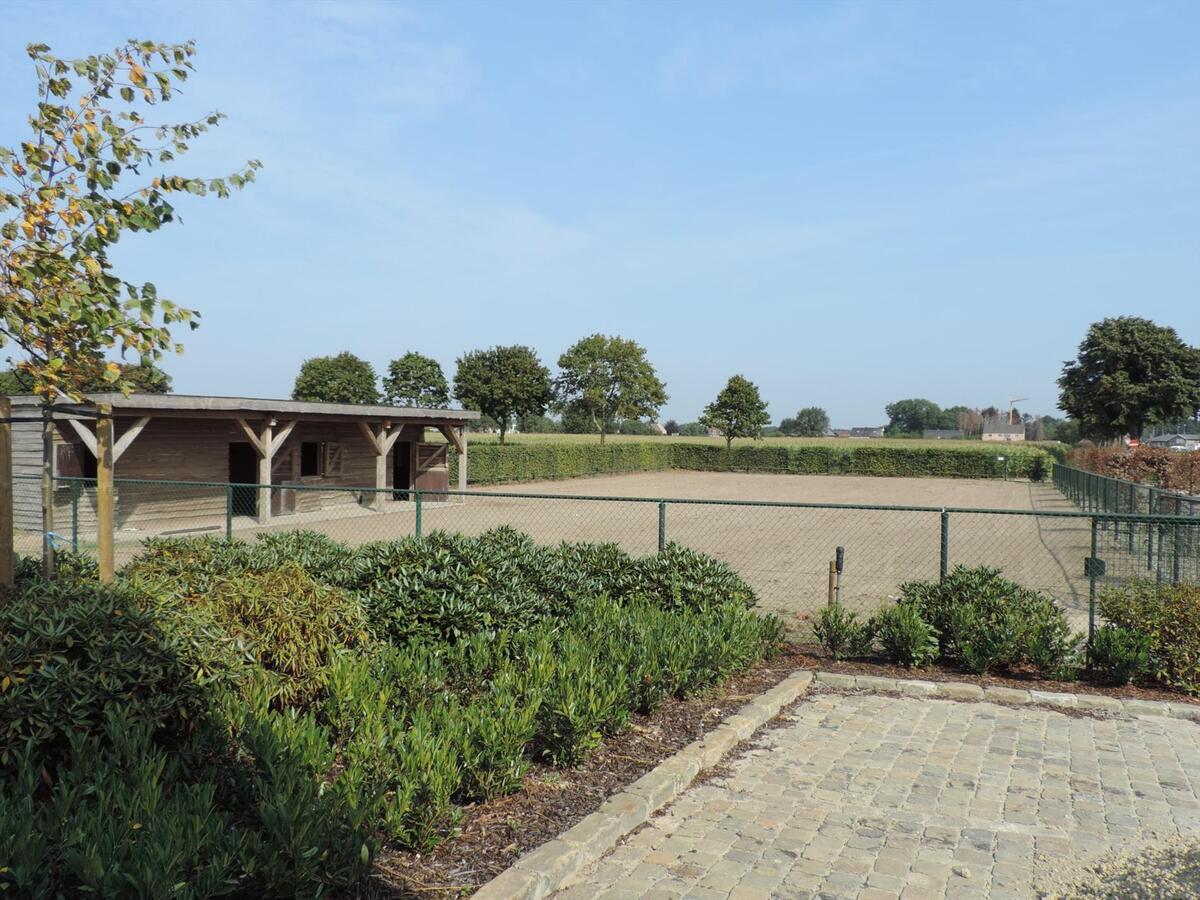 Prachtige hoeve met professionele paardenaccommodatie op ca. 4,5ha te Kinrooi 