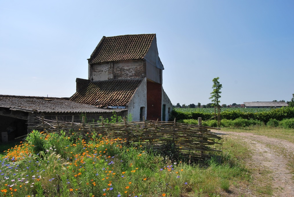 Authentieke, grondig gerenoveerde hoeve op 6470m&#178; te Nazareth 